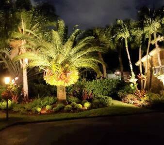 Apartamento Tropical Studio With Private Kitchen And Bath