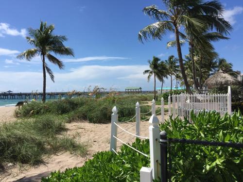 Hotel High Noon Beach Resort