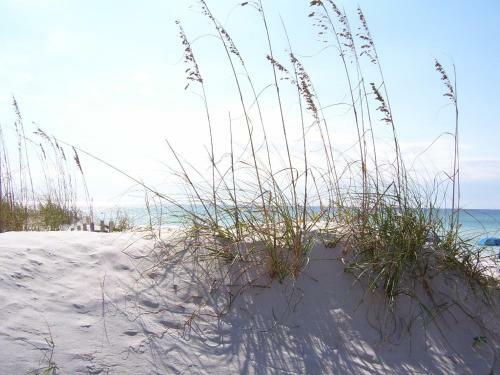 Apartamento Surf Dweller 102 Condo