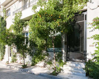 Athens Green Apartments