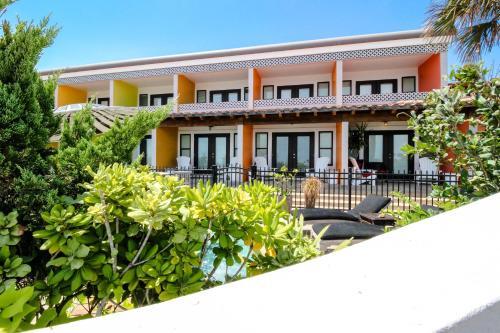 Condo Di Cocco - Cocco Chanel 5