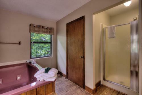 Bear's Delight 320 - Three Bedroom Cabin
