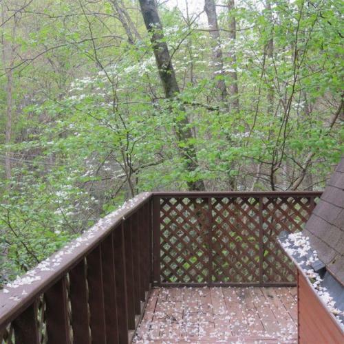 Buckberry Creek Chalet