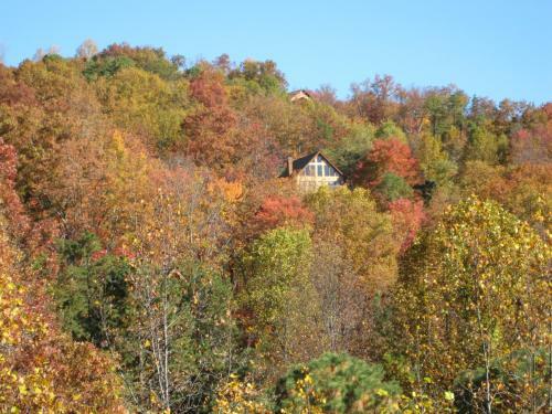 Awesome Views #701 - Six Bedroom Cabin