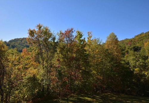 Ha202 Alpine Ridge