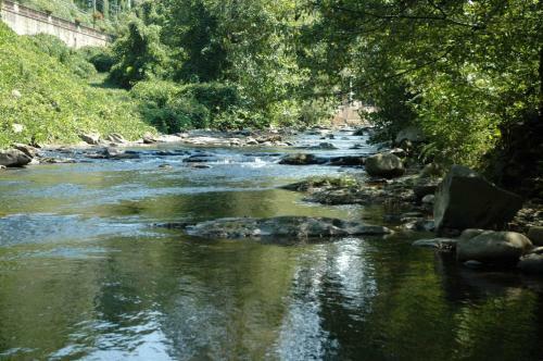 River Dream #466 - Two Bedroom Cabin