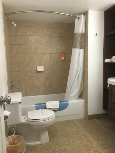 Motel Sakura