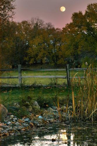 Willow Pond Bed And Breakfast