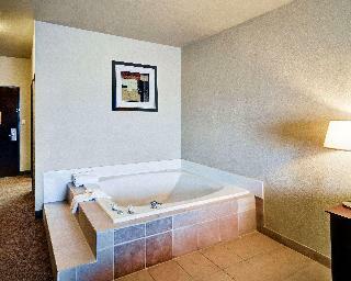 Hotel Comfort Inn Terrell