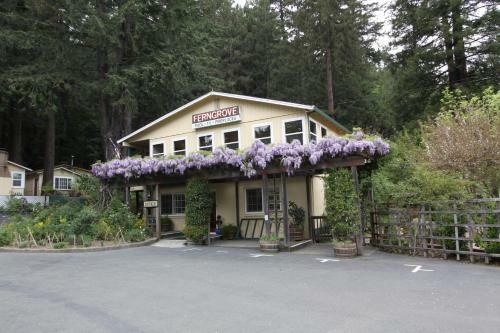 Bed & Breakfast Fern Grove Cottages
