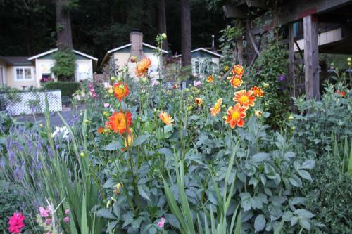 Bed & Breakfast Fern Grove Cottages