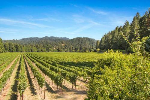 Apartamento Melody Vineyard Cottage