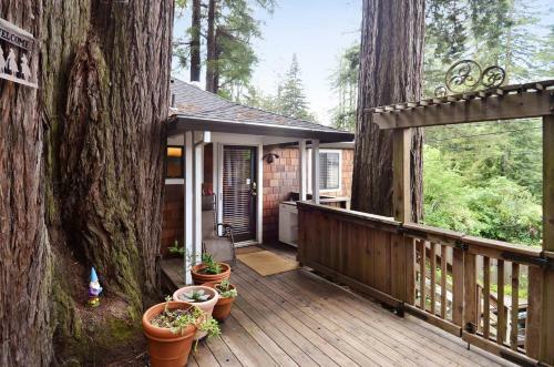 Fairy Circle Cottage