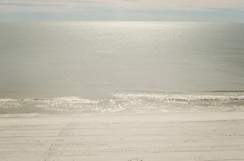 Apartamento Tropical Winds Unit 701 Condo