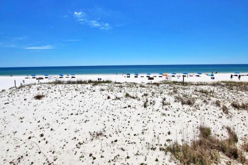 Island Shores 250 Apartment