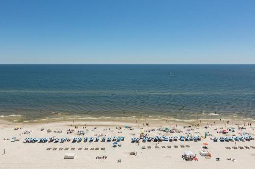 Lighthouse 1204
