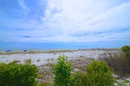Apartamento Surfside Shores 1202 Condo