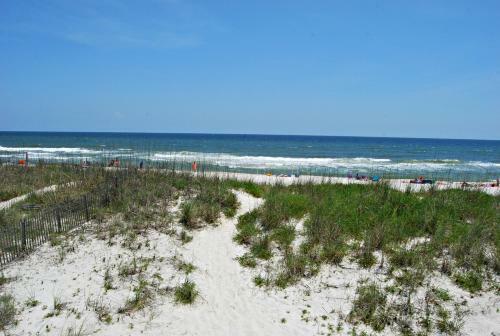 Vitamin Sea East 1 Home