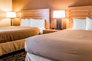 Hotel Quality Inn  Suites