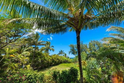 Hale Luia Paradise ?tvnc# 1158