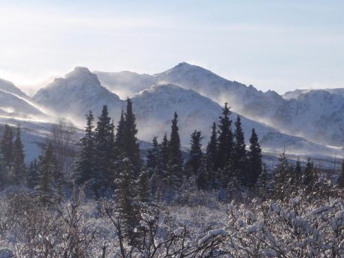 Private Home At Denali
