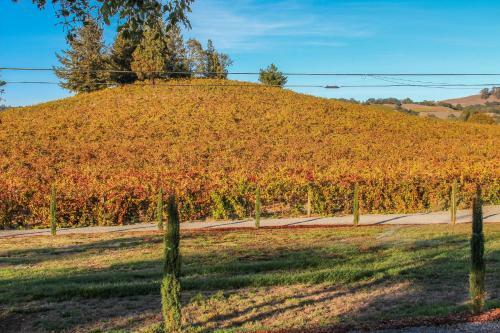 Armida Vineyards Cottage