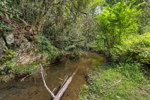 Laurel Creek
