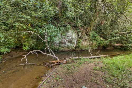Laurel Creek