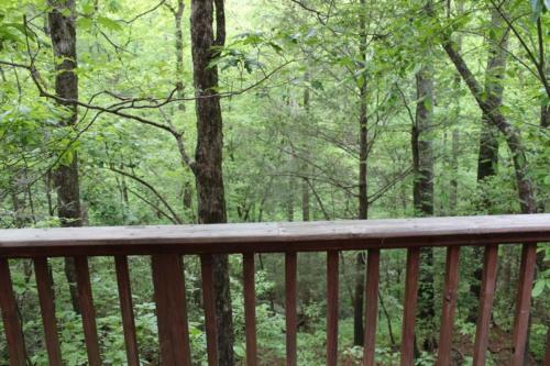 Firefly Hill Cabin