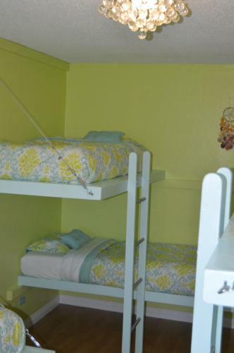 The Big Island Hostel