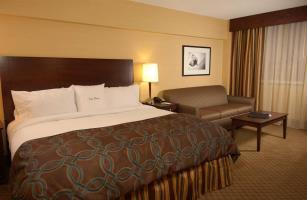 Hotel Doubletree North Druid Hills Emory Area