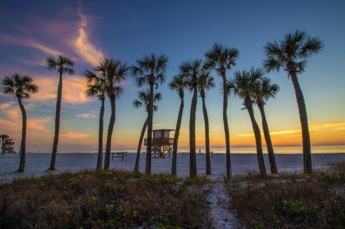 Gulf Shores 205