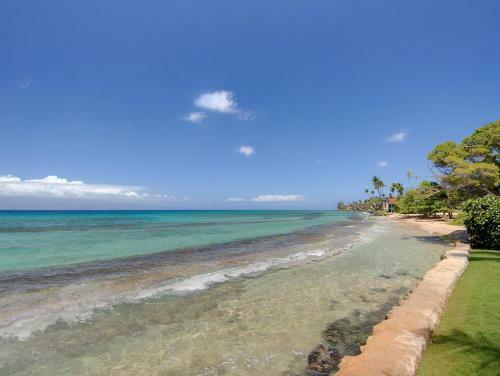 Paki Maui 423