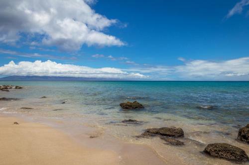Polynesian Shores 102