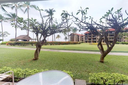 Apartamento Papakea Resort