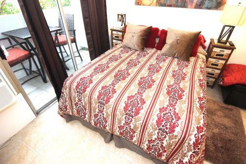 Prince Edward Street Apartment