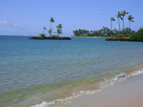Apartamento Kuhio Village Condominium 410a