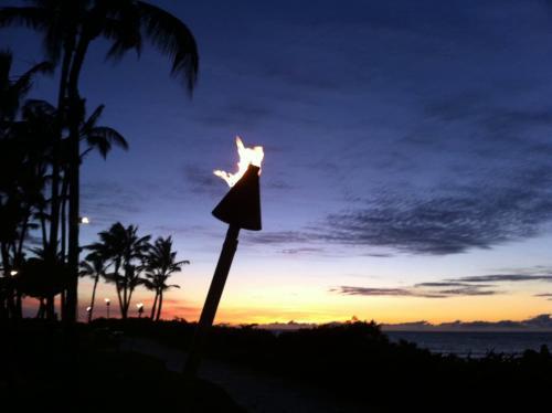 Apartamento Kuhio Village Condominium 410a