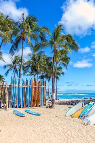 Apartamento Waikiki Whale Watcher Apts 503b