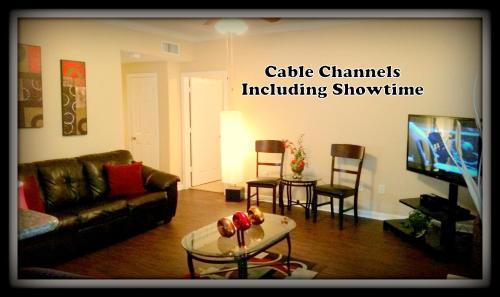 (834) Apartment Near Nrg & Med Ctr