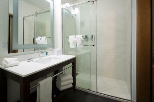 Hotel Four Points By Sheraton Houston Intercontinental Airport