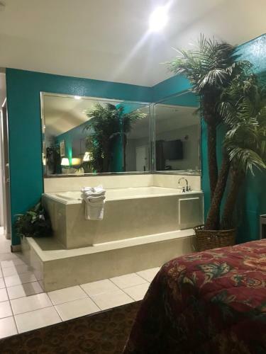 Hotel Camelot Inn And Suites
