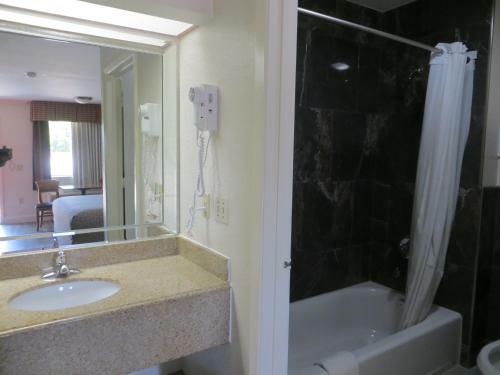 Motel Palace Inn South Wayside