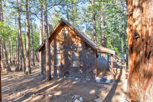 Walden In The Woods