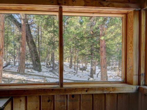 Twin Tree Lodge