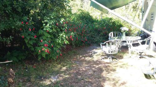 Camper Vacation