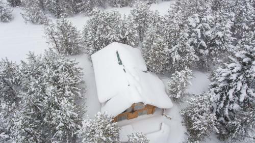 Hidden Pines