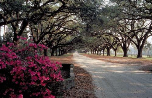 7a Mariners Walk