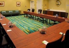 Hotel Springhill Suites Tampa North