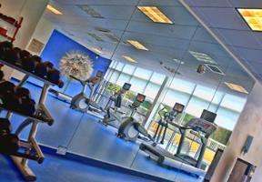 Hotel Springhill Suites Tampa North